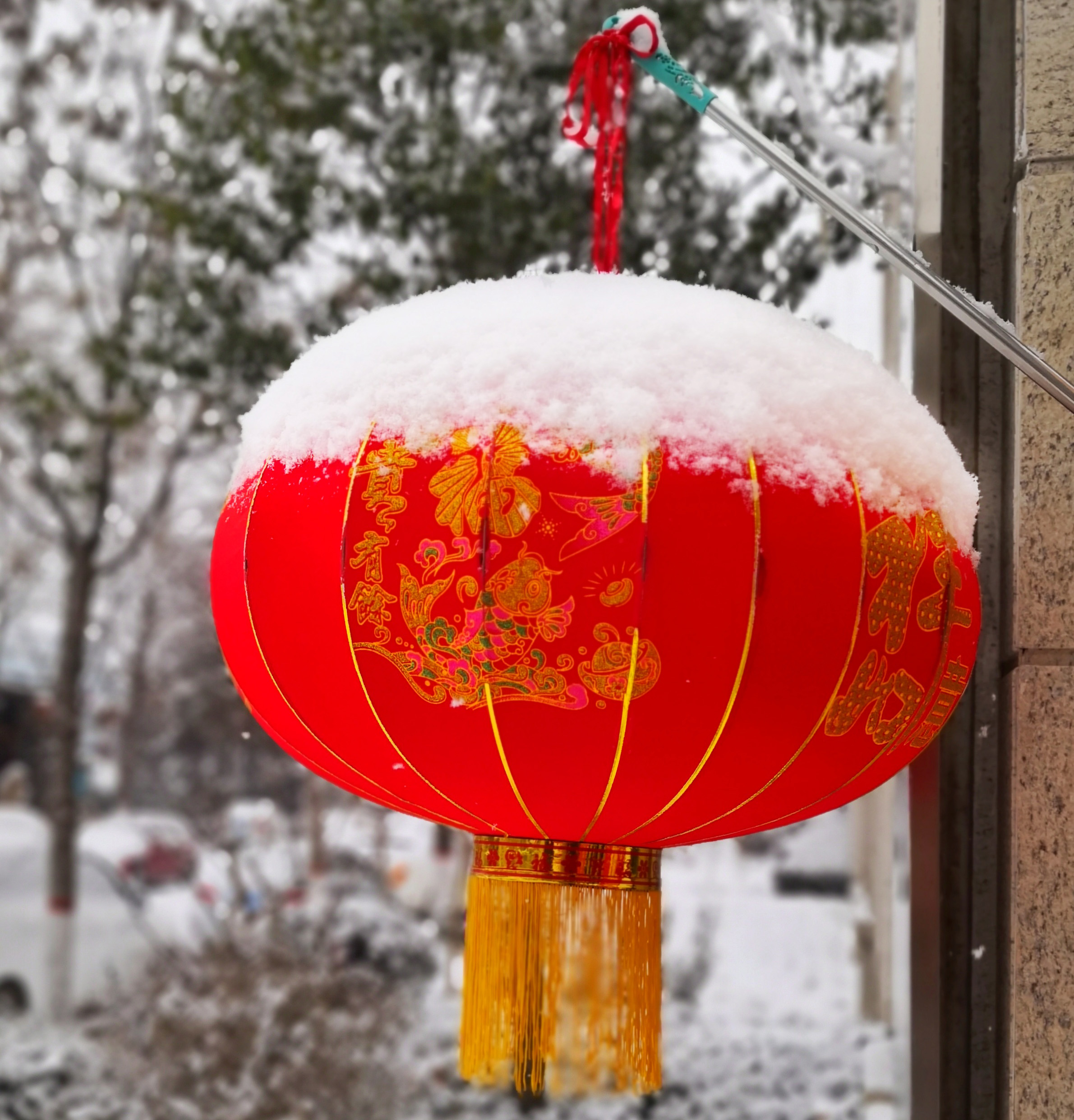 嘉汇风采-20190210-1.jpg